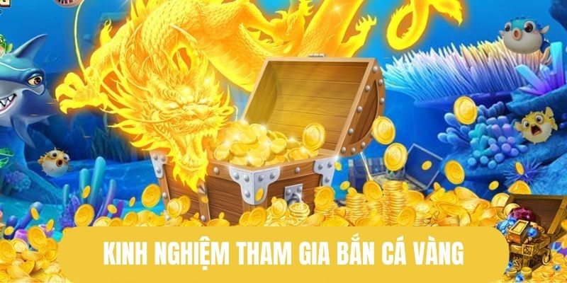 Chiến thuật tham gia săn cá vàng hiệu quả