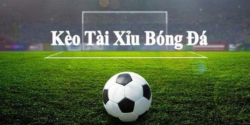 Đọc kèo tài xỉu bóng đá chuẩn